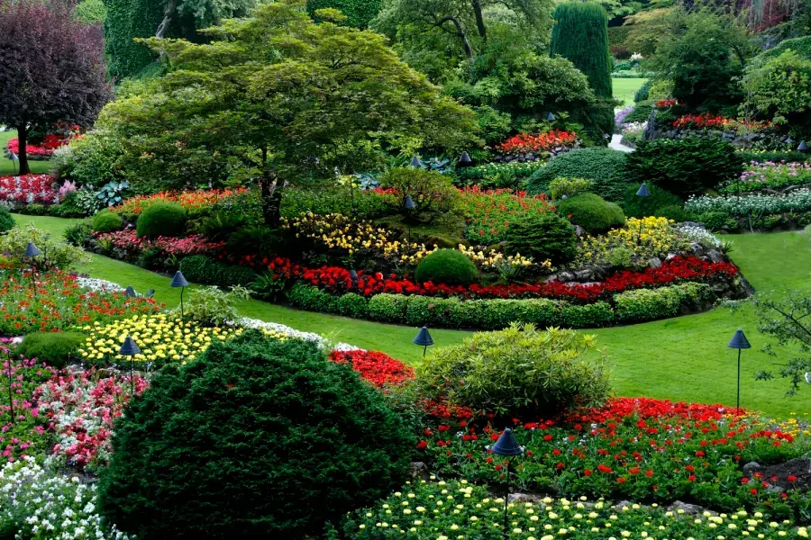 Beautifully maintained landscape